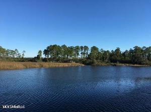 Grand Bature Road, Moss Point, Mississippi image 1