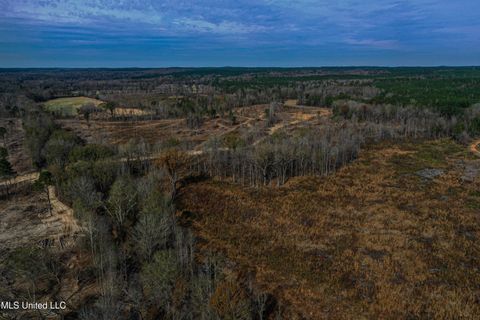 Vacant Land For Sale - 001 Alva Road<br/> Eupora, MS 39744