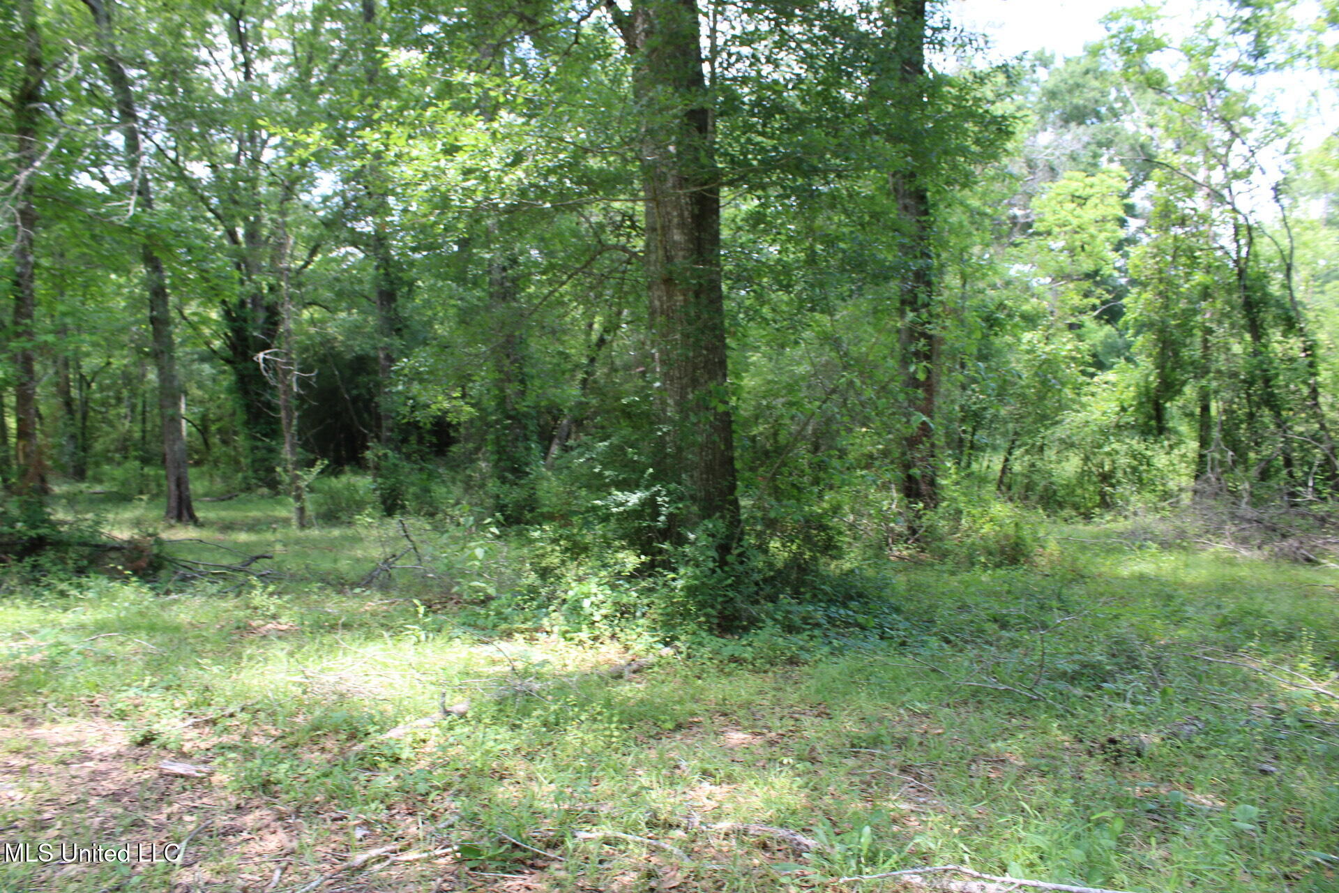 1037 Boone Road, McComb, Mississippi image 5