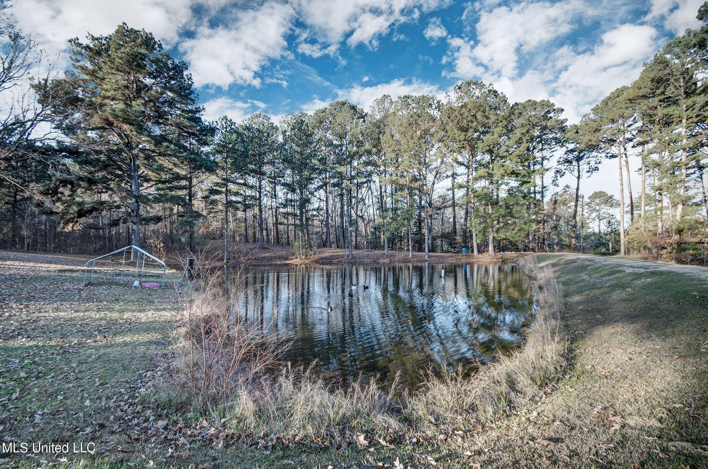 285 Hebron Hill Drive, Brandon, Mississippi image 9