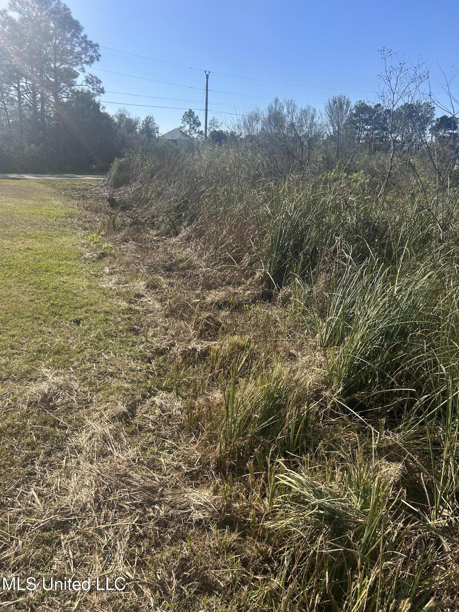 Sailfish Street, Bay Saint Louis, Mississippi image 7