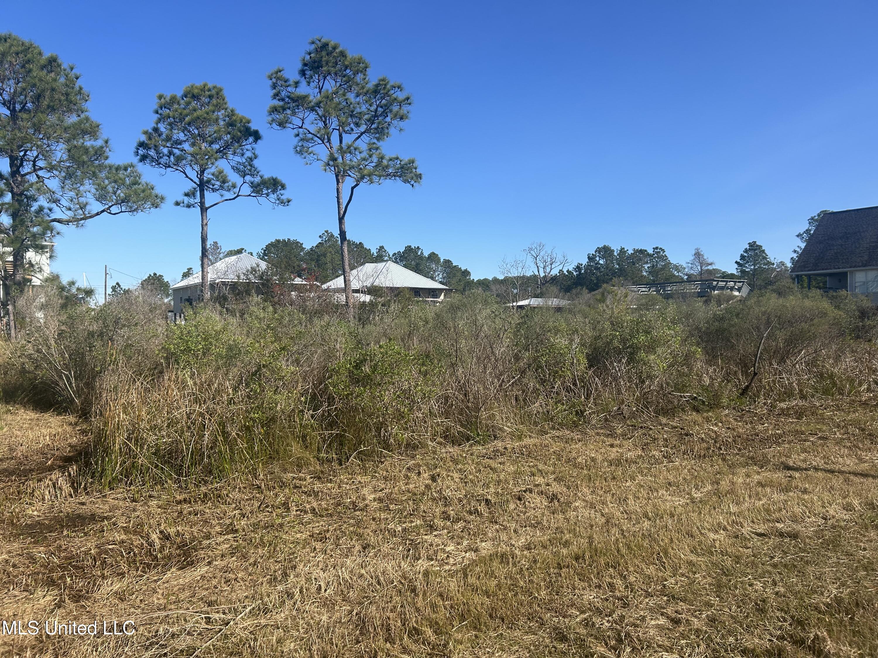 Sailfish Street, Bay Saint Louis, Mississippi image 4