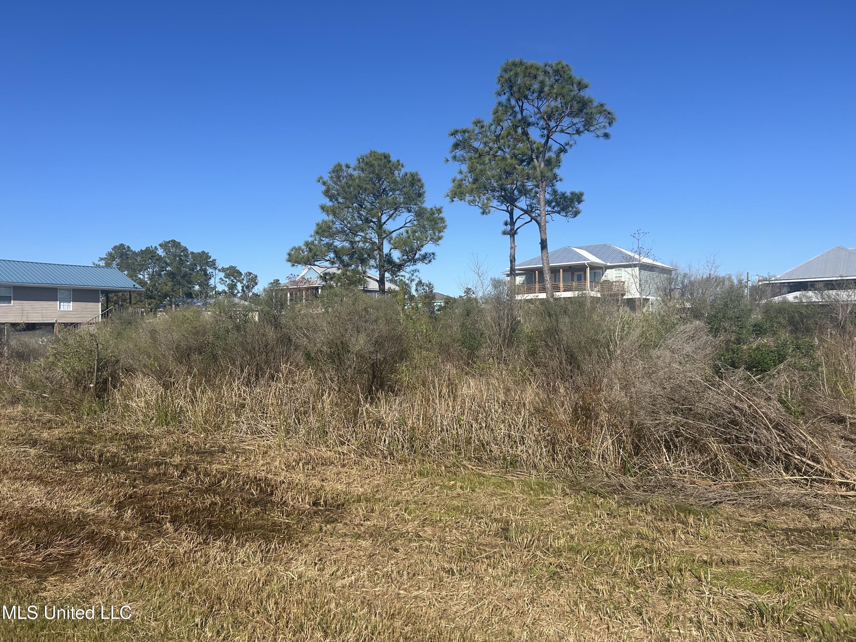 Sailfish Street, Bay Saint Louis, Mississippi image 5