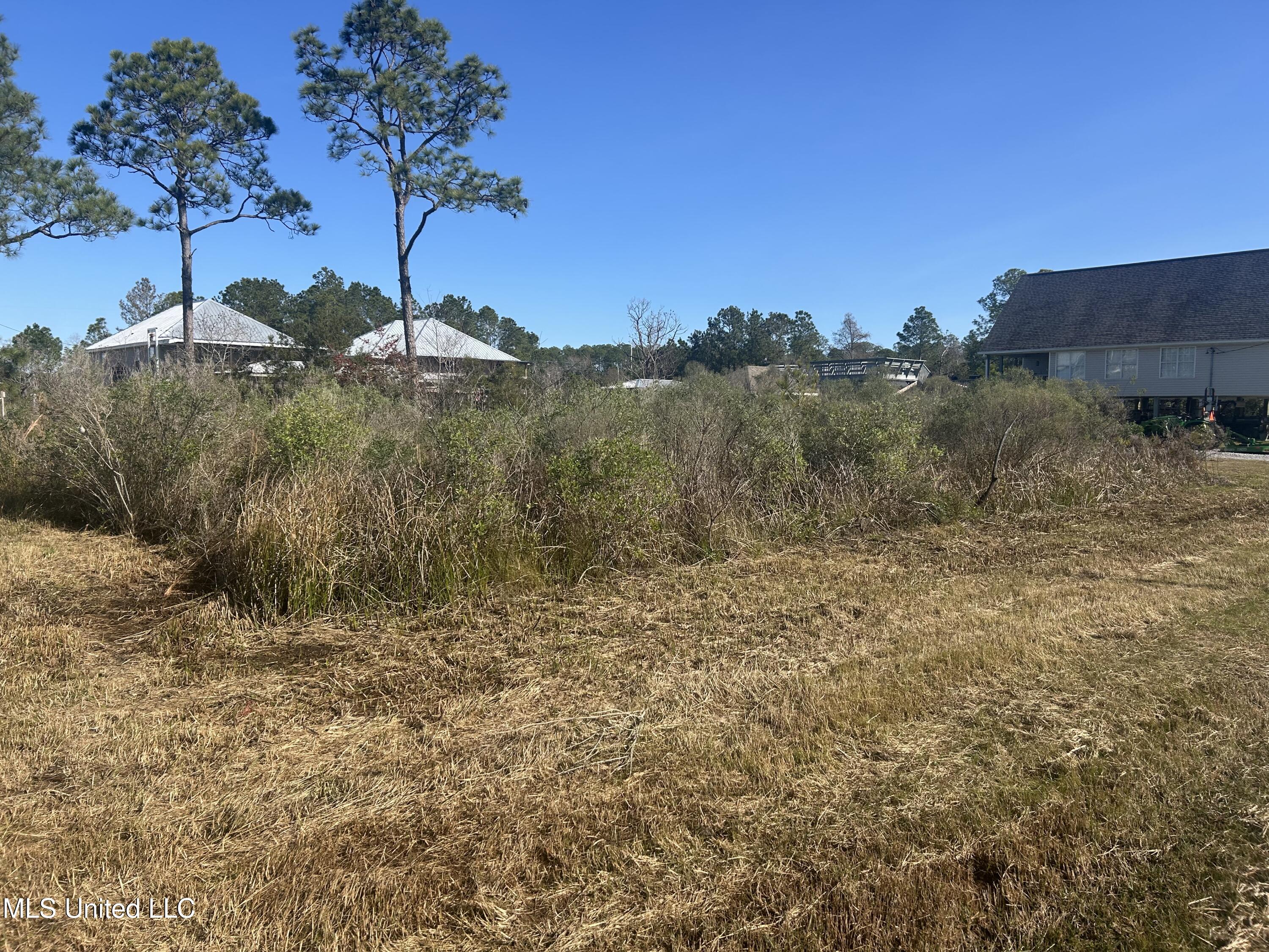 Sailfish Street, Bay Saint Louis, Mississippi image 6