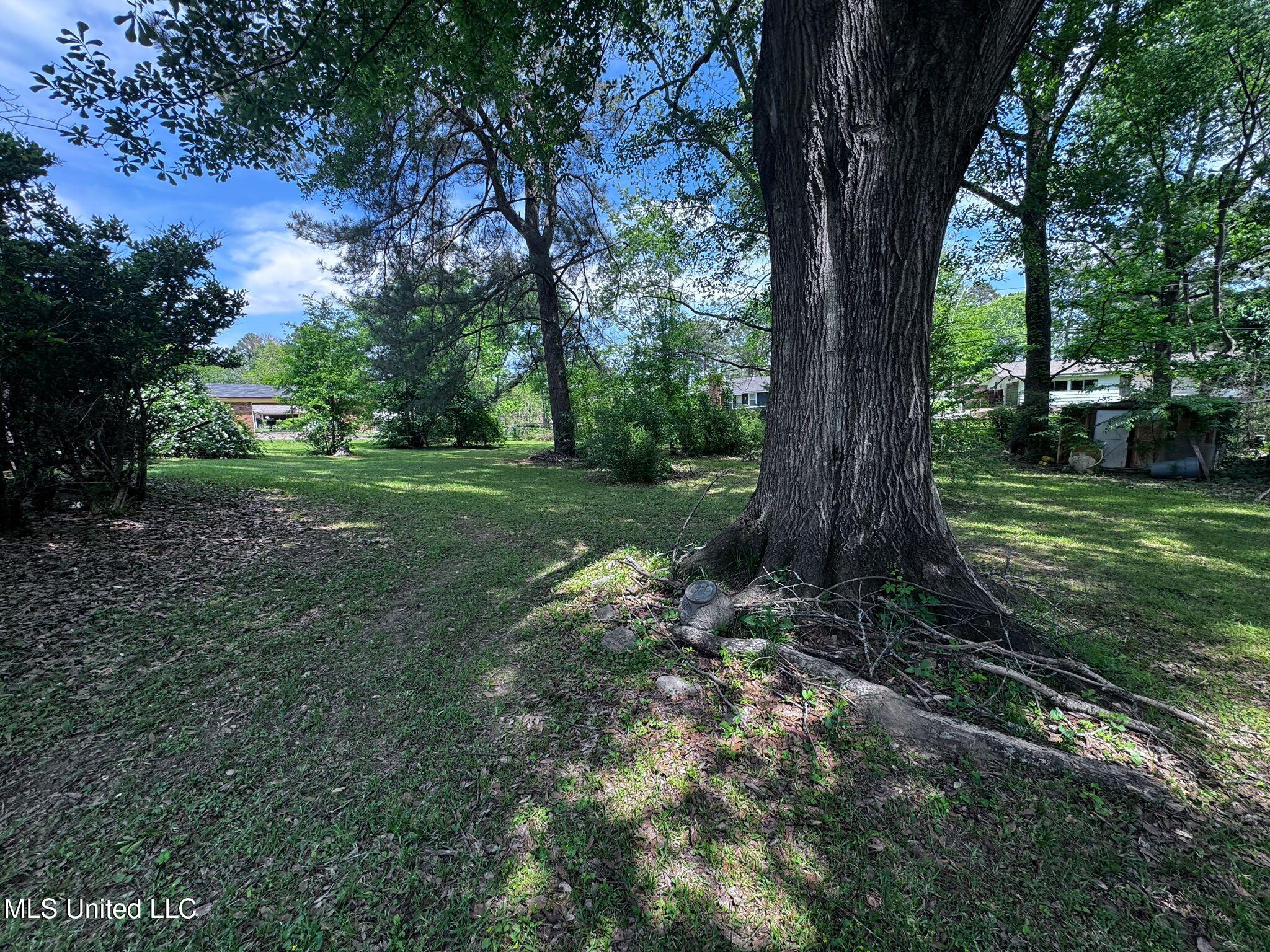 745 Woodlake Drive, Jackson, Mississippi image 5