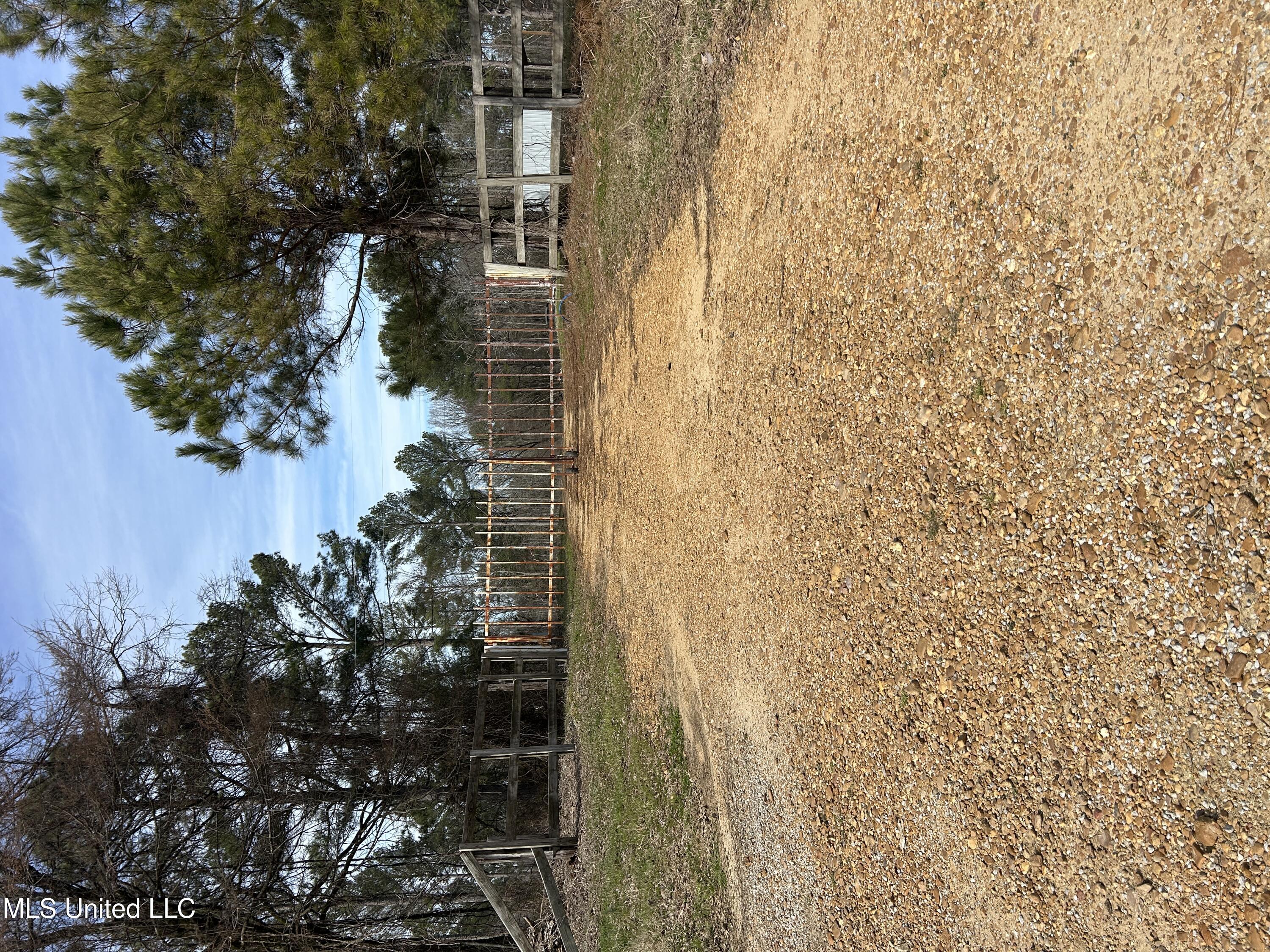 Paul Shady Grove Road Road, Cascilla, Mississippi image 9