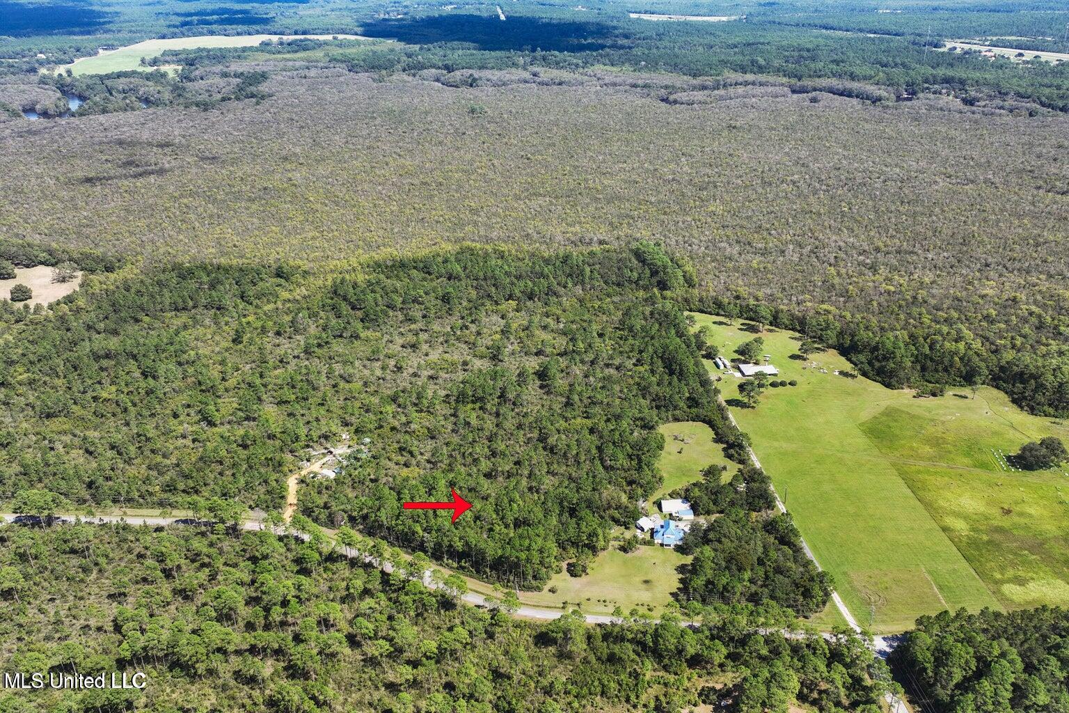 Coda Road, Moss Point, Mississippi image 7