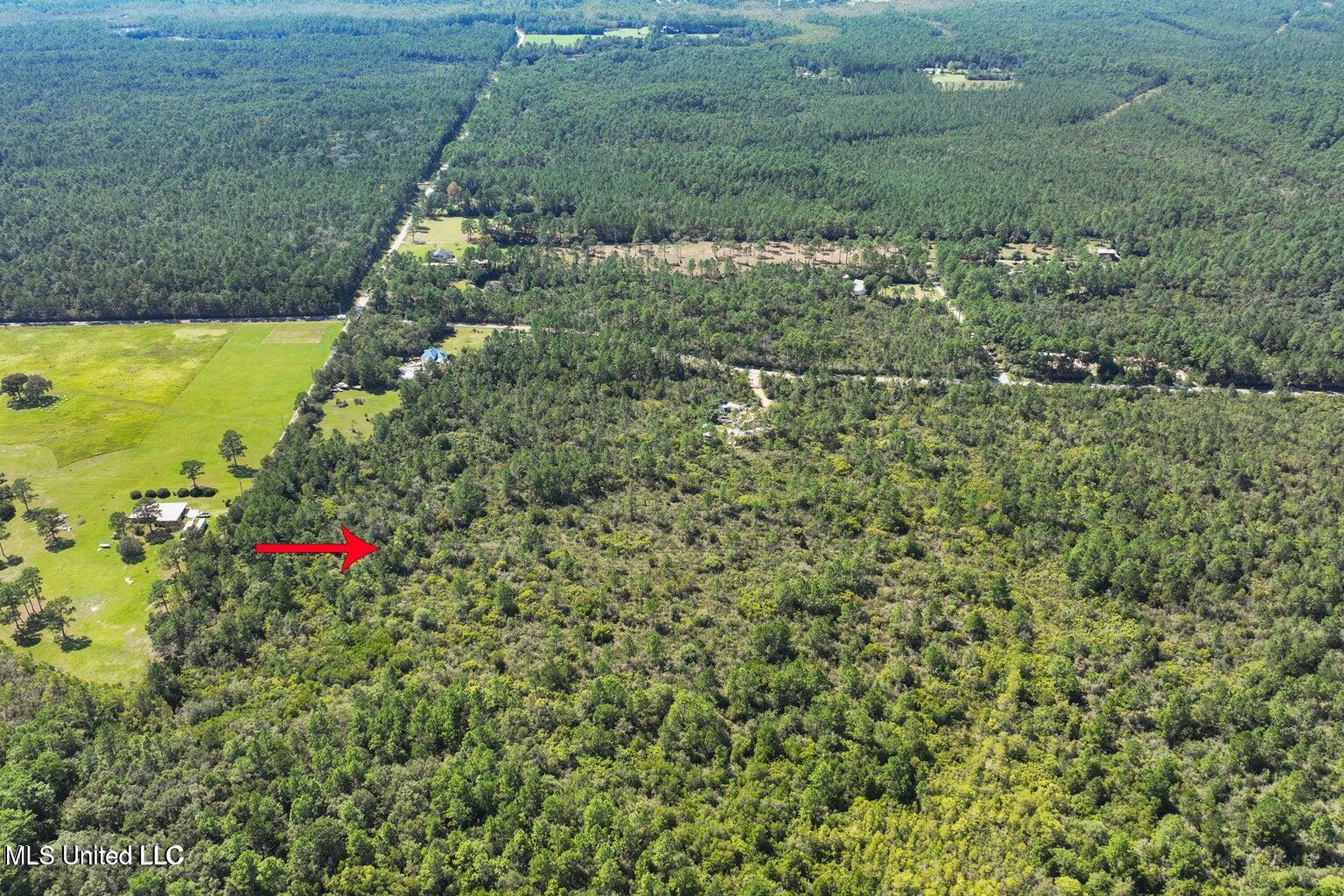 Coda Road, Moss Point, Mississippi image 5