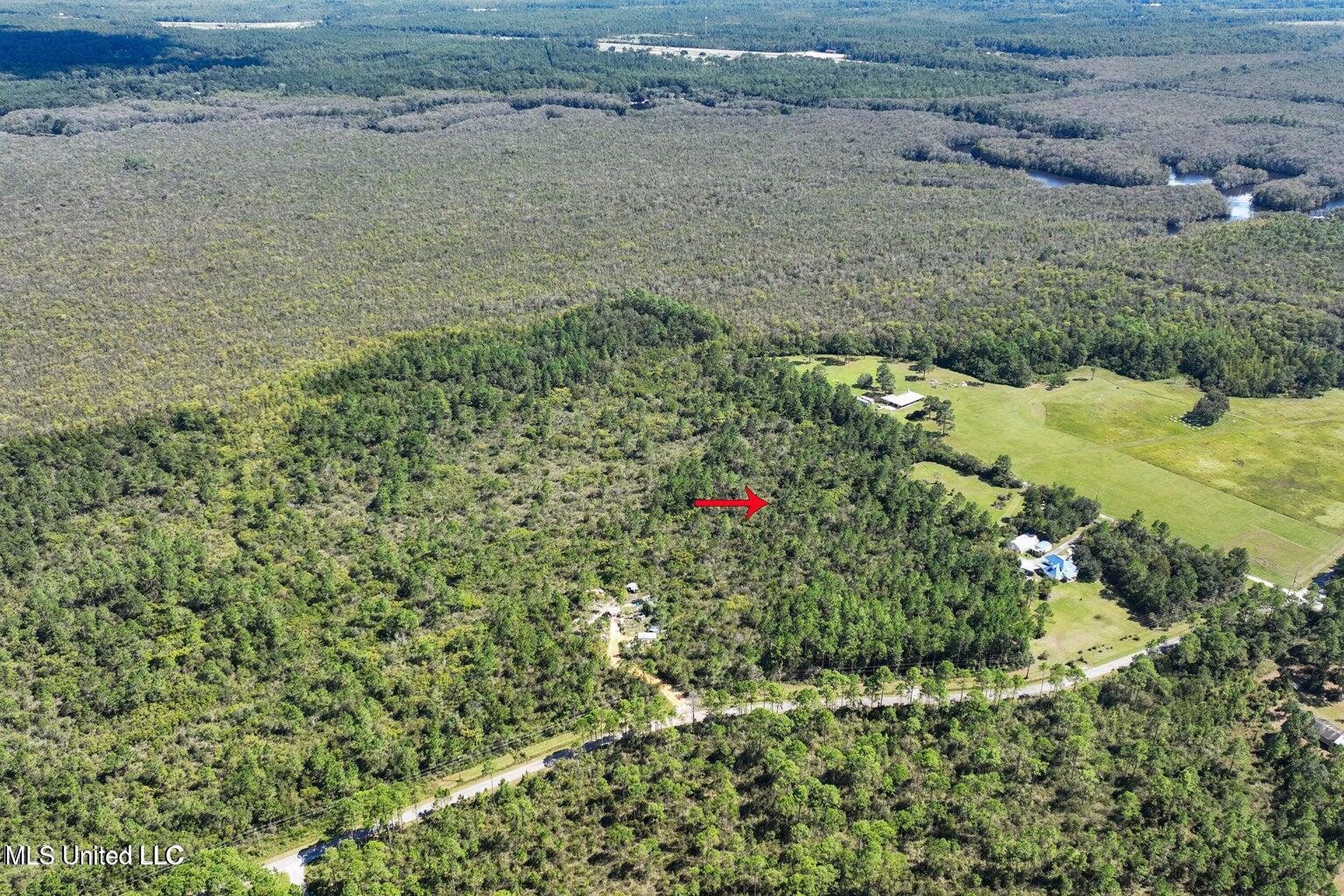 Coda Road, Moss Point, Mississippi image 6