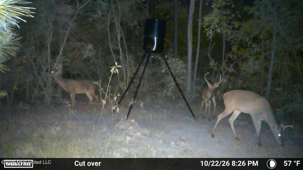 220 Hope Little Road