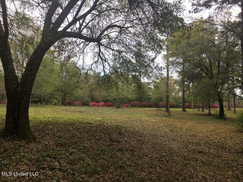 Vacant Land For Sale - 1 Lost Lunker Drive<br/> Pearl River County, Poplarville, MS 39470
