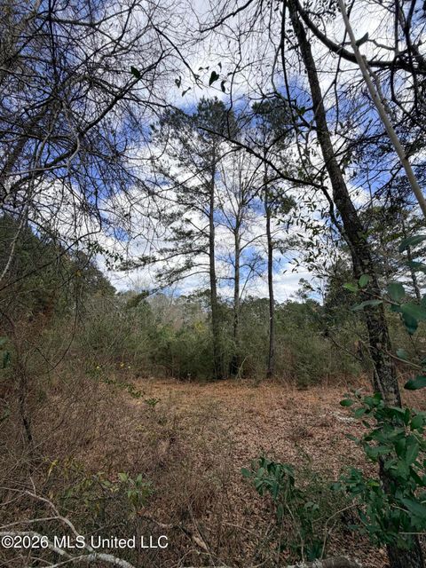 Vacant Land For Sale - TBD Joel Lang Road<br/> Pike County, McComb, MS 39648