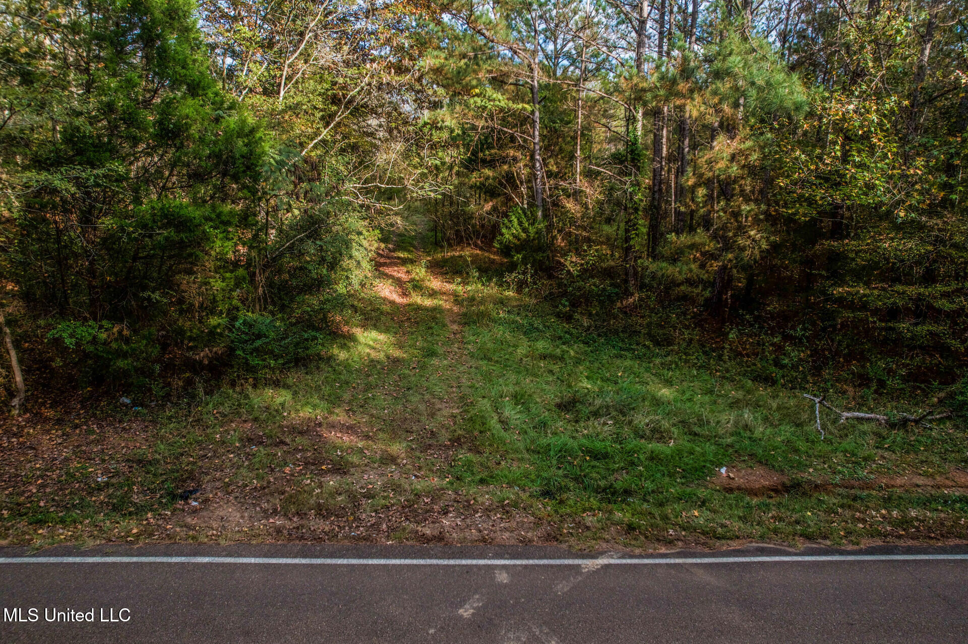 1724 Sharon Road, Canton, Mississippi image 9