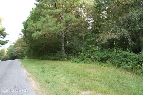 Vacant Land For Sale - County Road 16<br/> Jasper County, Louin, MS 39338