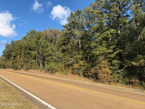 Vacant Land For Sale - Highway 35 N<br/> Leake County, Carthage, MS 39051