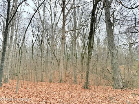 Vacant Land For Sale - Pioneer Village Road<br/> Senatobia, MS 38668