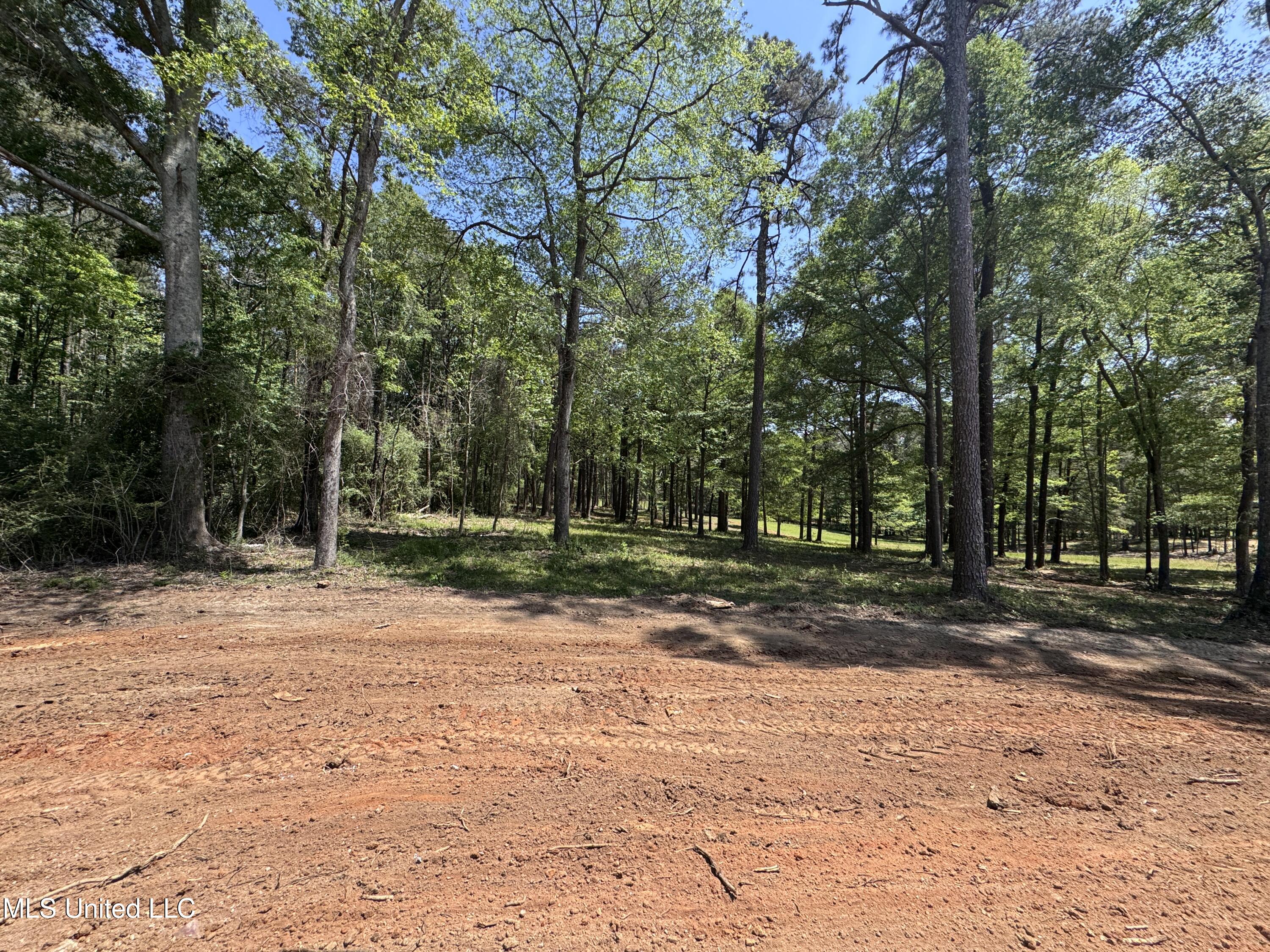 855 NW 11th Avenue, Magee, Mississippi image 28
