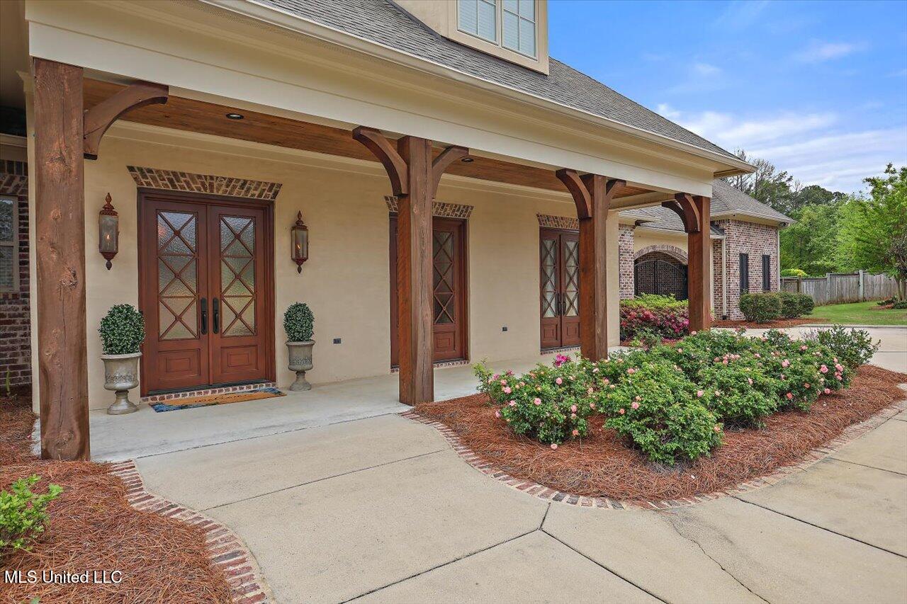 204 St Charlotte Cove, Madison, Mississippi image 10