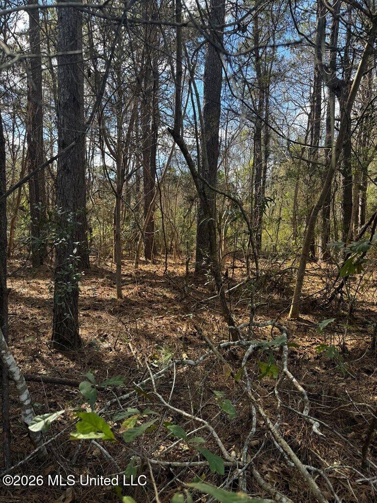 E Lake Cypress Drive