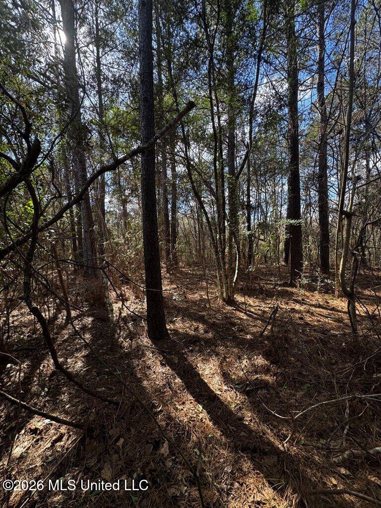 E Lake Cypress Drive