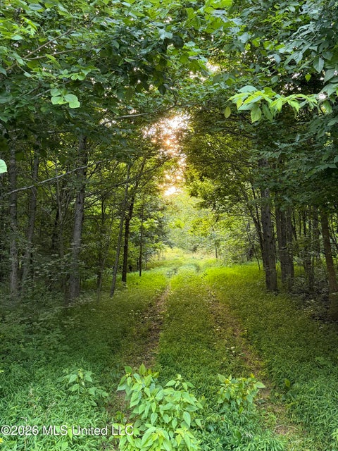 Vacant Land For Sale - 2000 Sparks Road<br/> Lake Cormorant, MS 38641