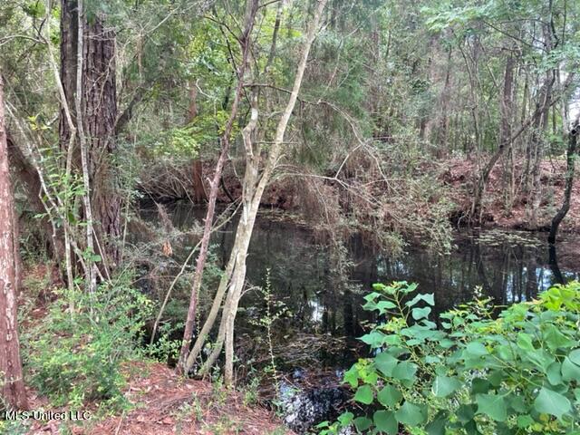 Robertsdale Road, Gautier, Mississippi image 8