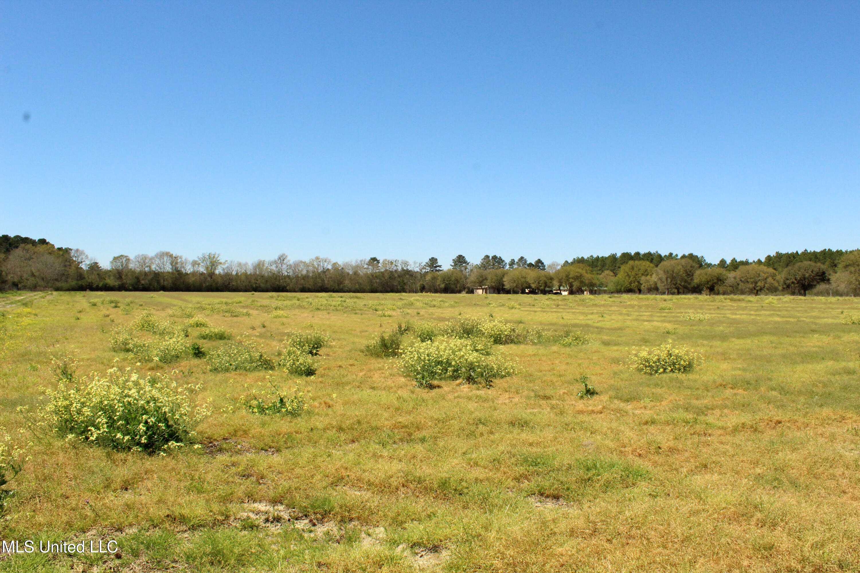 Lot 2 Ramie Farm Road, Moss Point, Mississippi image 1