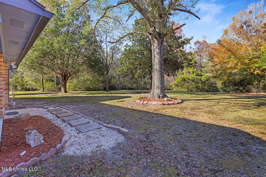 19559 B Saucier Road, Saucier, Mississippi image 4