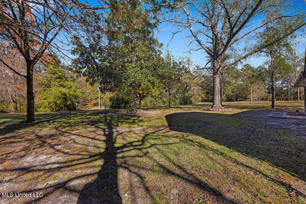 19559 B Saucier Road, Saucier, Mississippi image 5