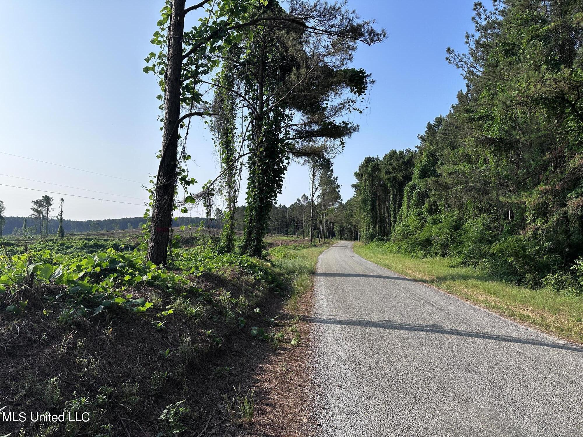 Co Rd 309, Oxford, Mississippi image 5