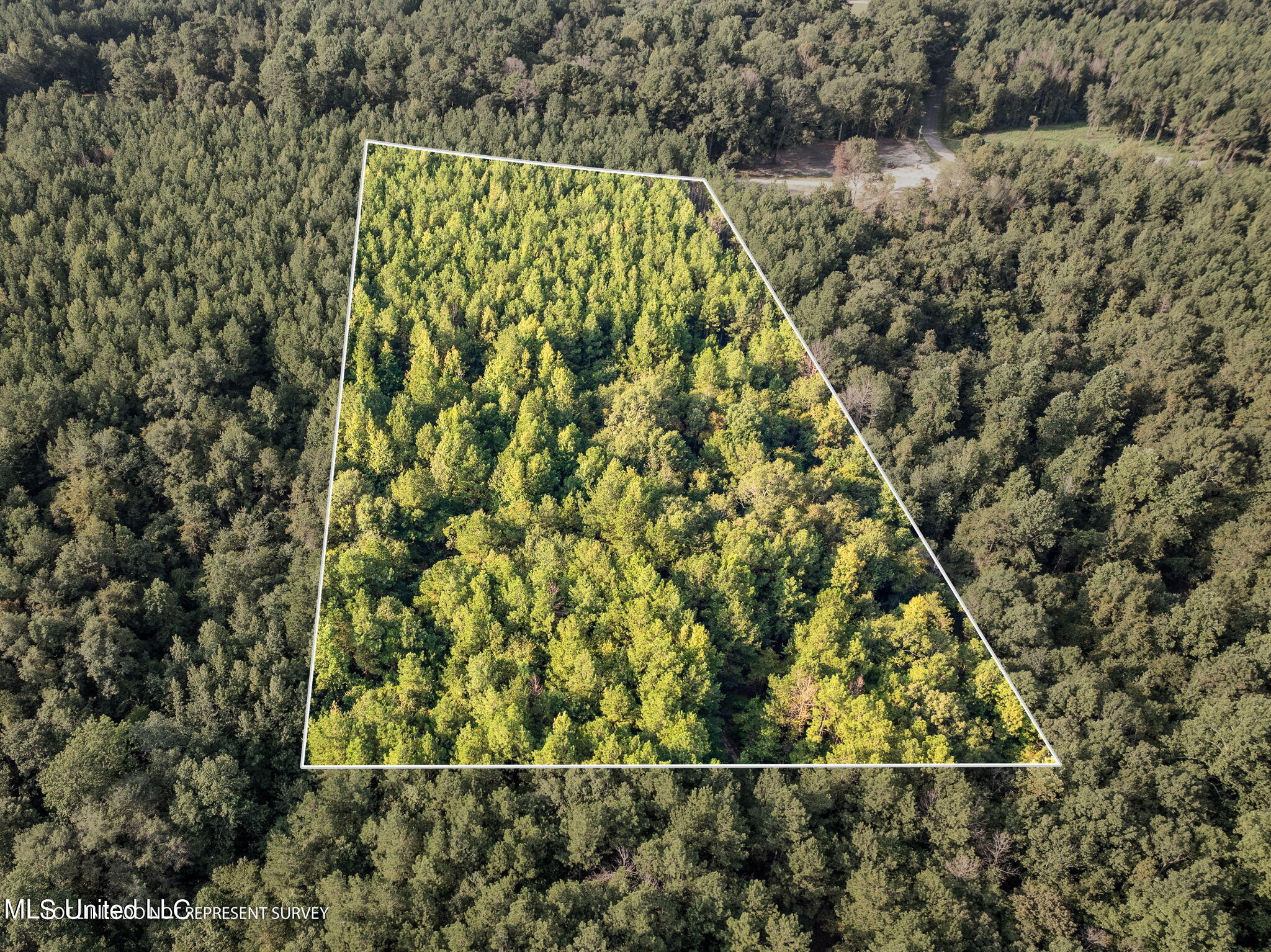 8 +/- Acres Crosby Road, Seminary, Mississippi image 2