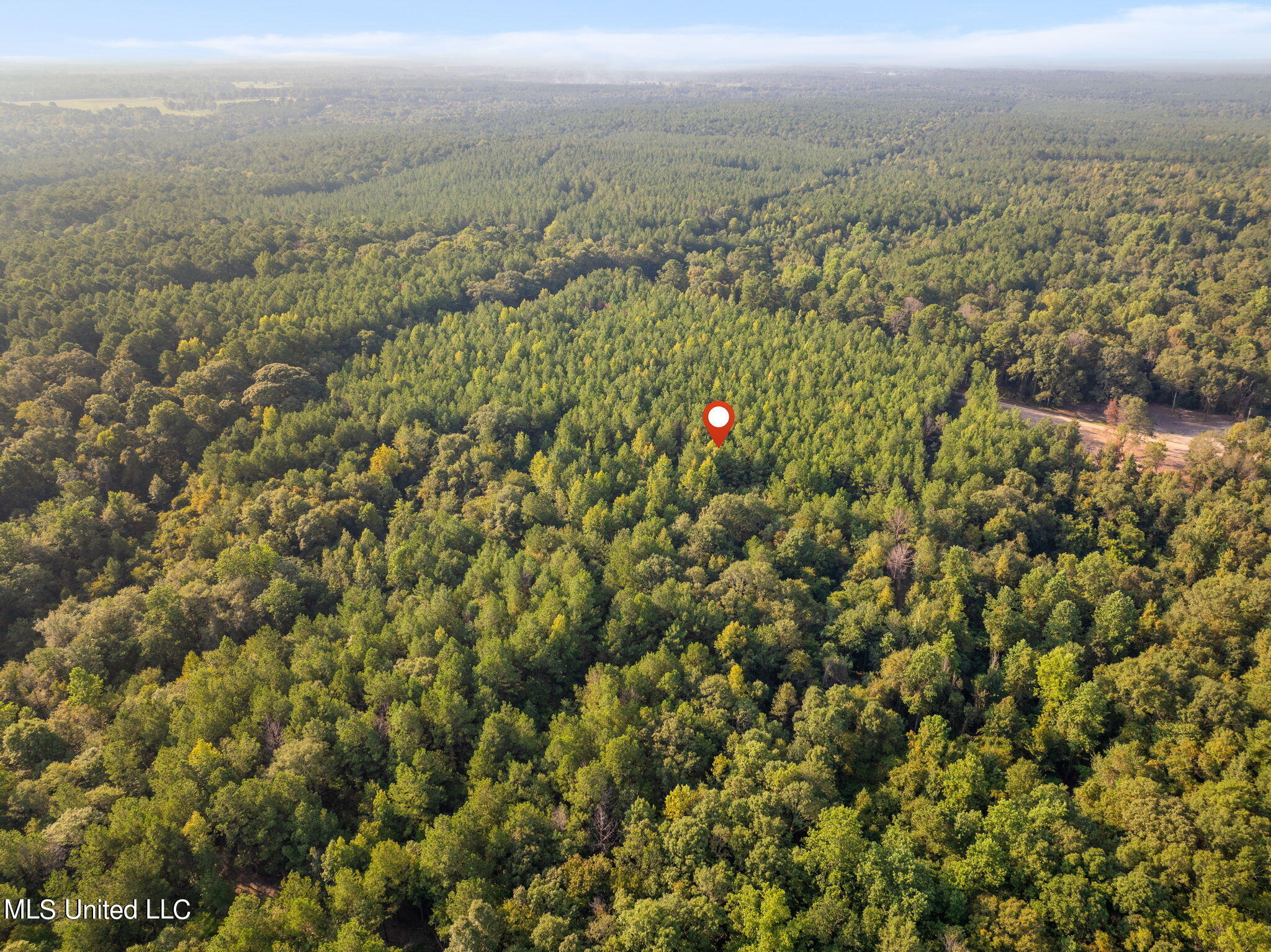 8 +/- Acres Crosby Road, Seminary, Mississippi image 6