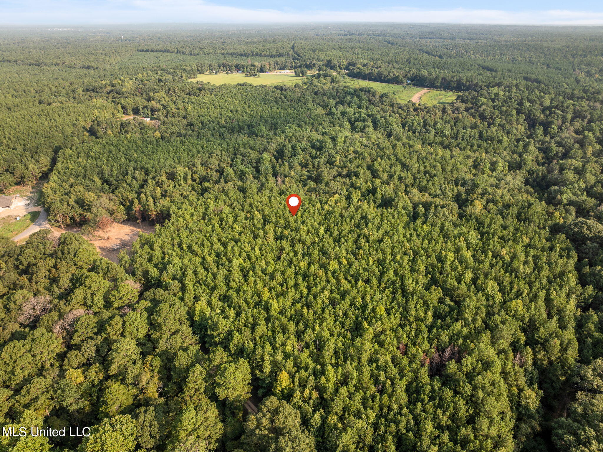 8 +/- Acres Crosby Road, Seminary, Mississippi image 9