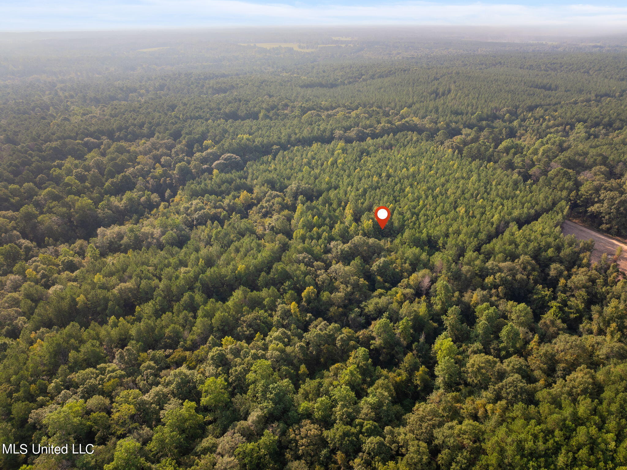 8 +/- Acres Crosby Road, Seminary, Mississippi image 7