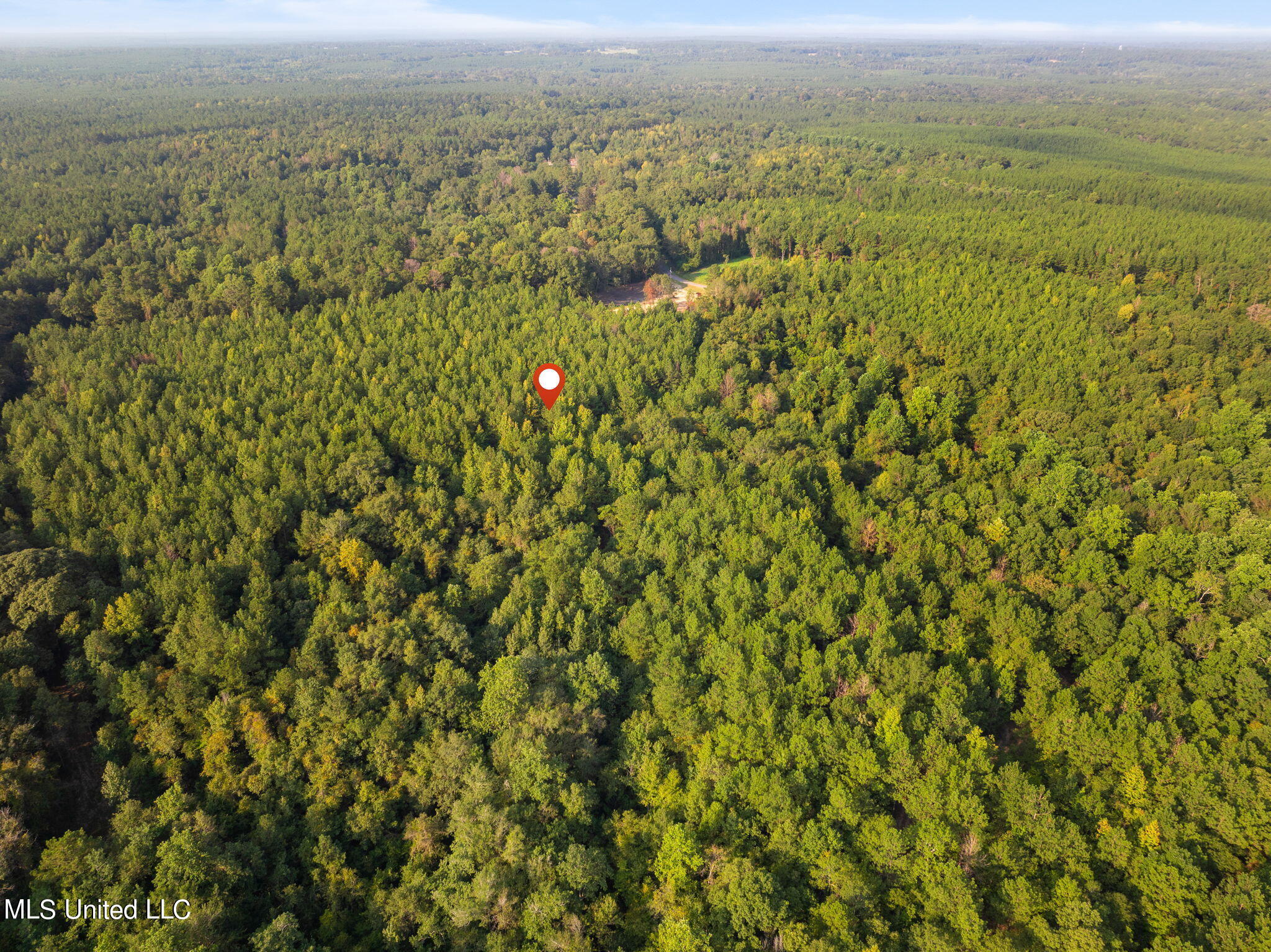 8 +/- Acres Crosby Road, Seminary, Mississippi image 5