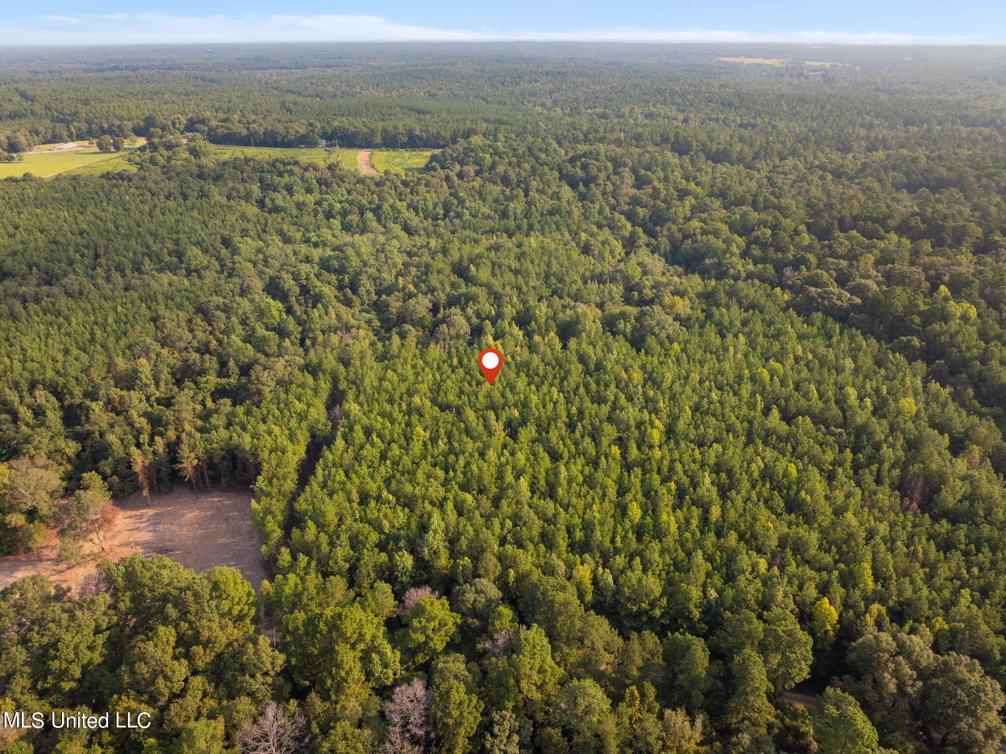 8 +/- Acres Crosby Road, Seminary, Mississippi image 8