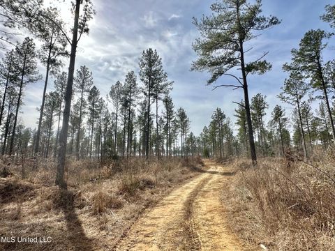 Vacant Land For Sale - 2 Dry Grove Road<br/> Terry, MS 39170