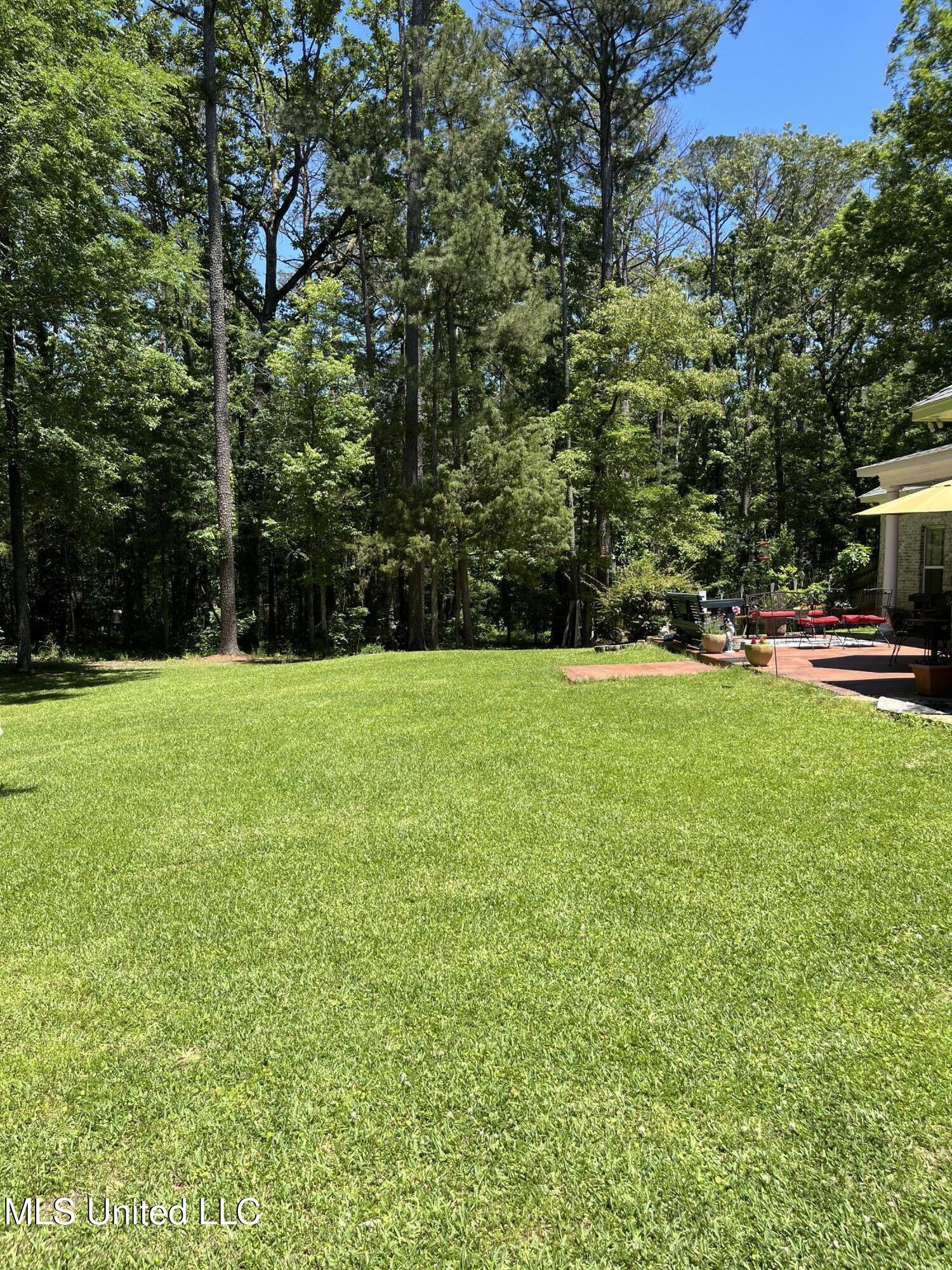 415 Greenbriar Street, Brandon, Mississippi image 29