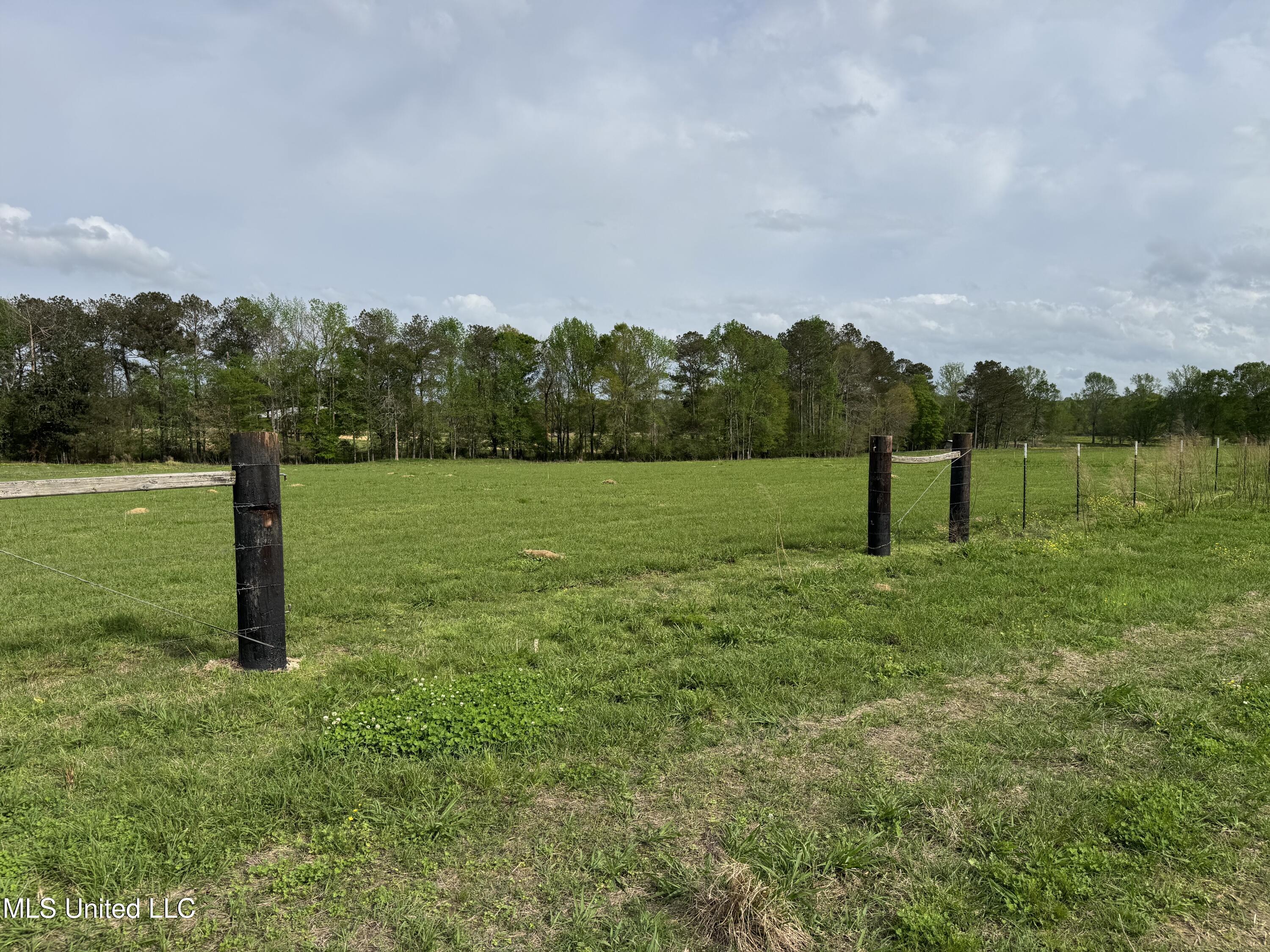 2451 SW Dalton Lane, Smithdale, Mississippi image 45