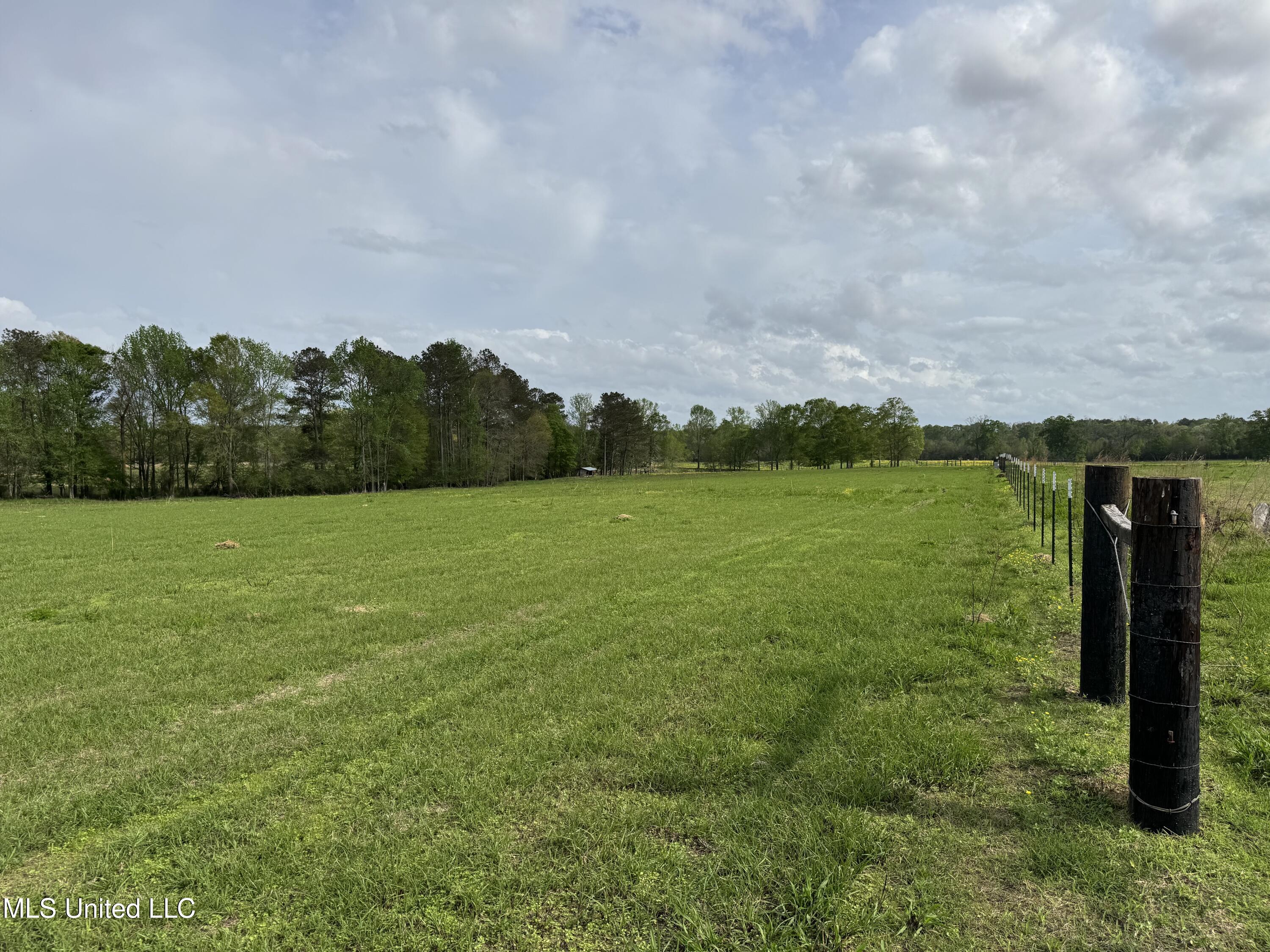 2451 SW Dalton Lane, Smithdale, Mississippi image 46