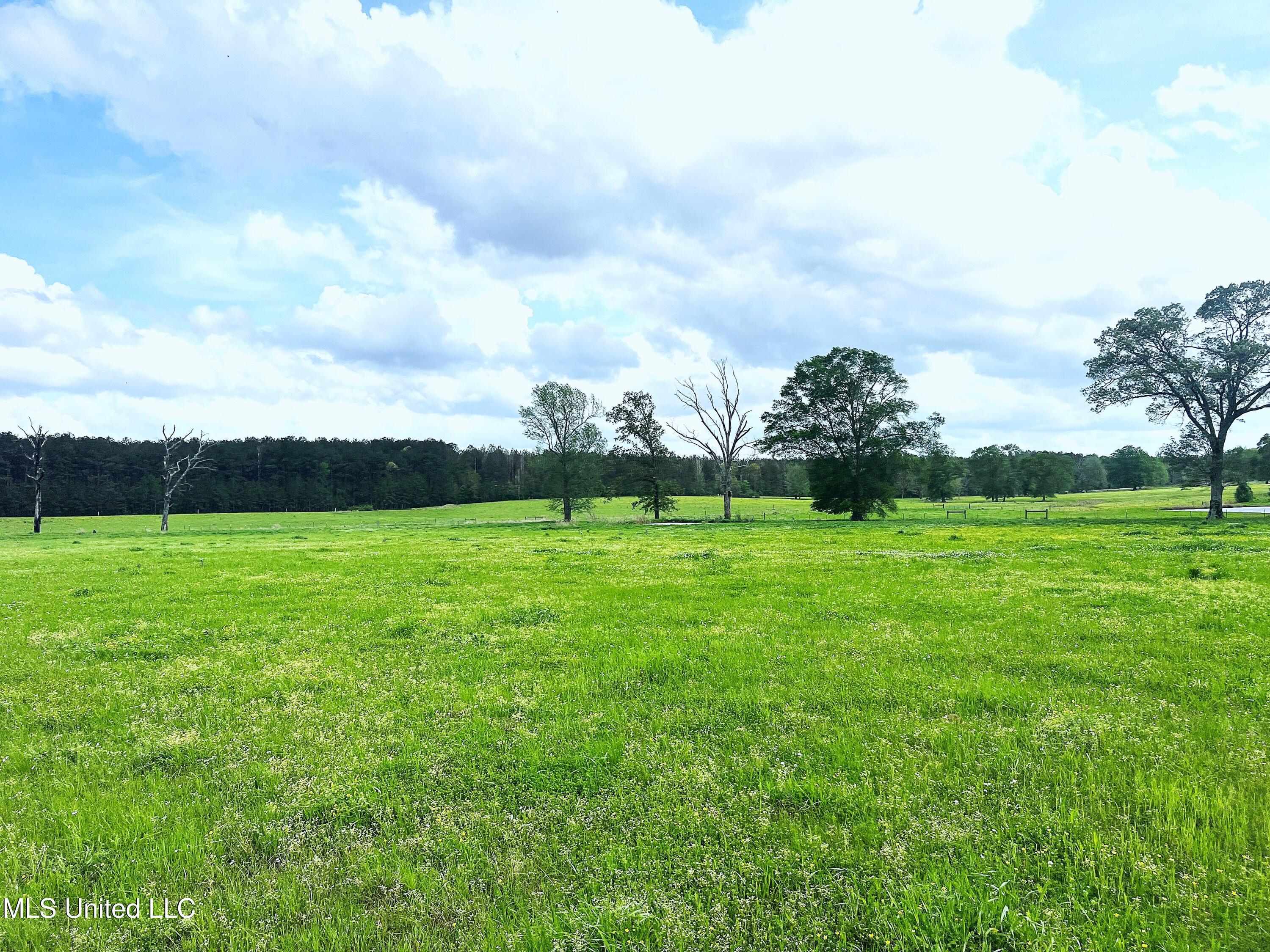 2451 SW Dalton Lane, Smithdale, Mississippi image 1