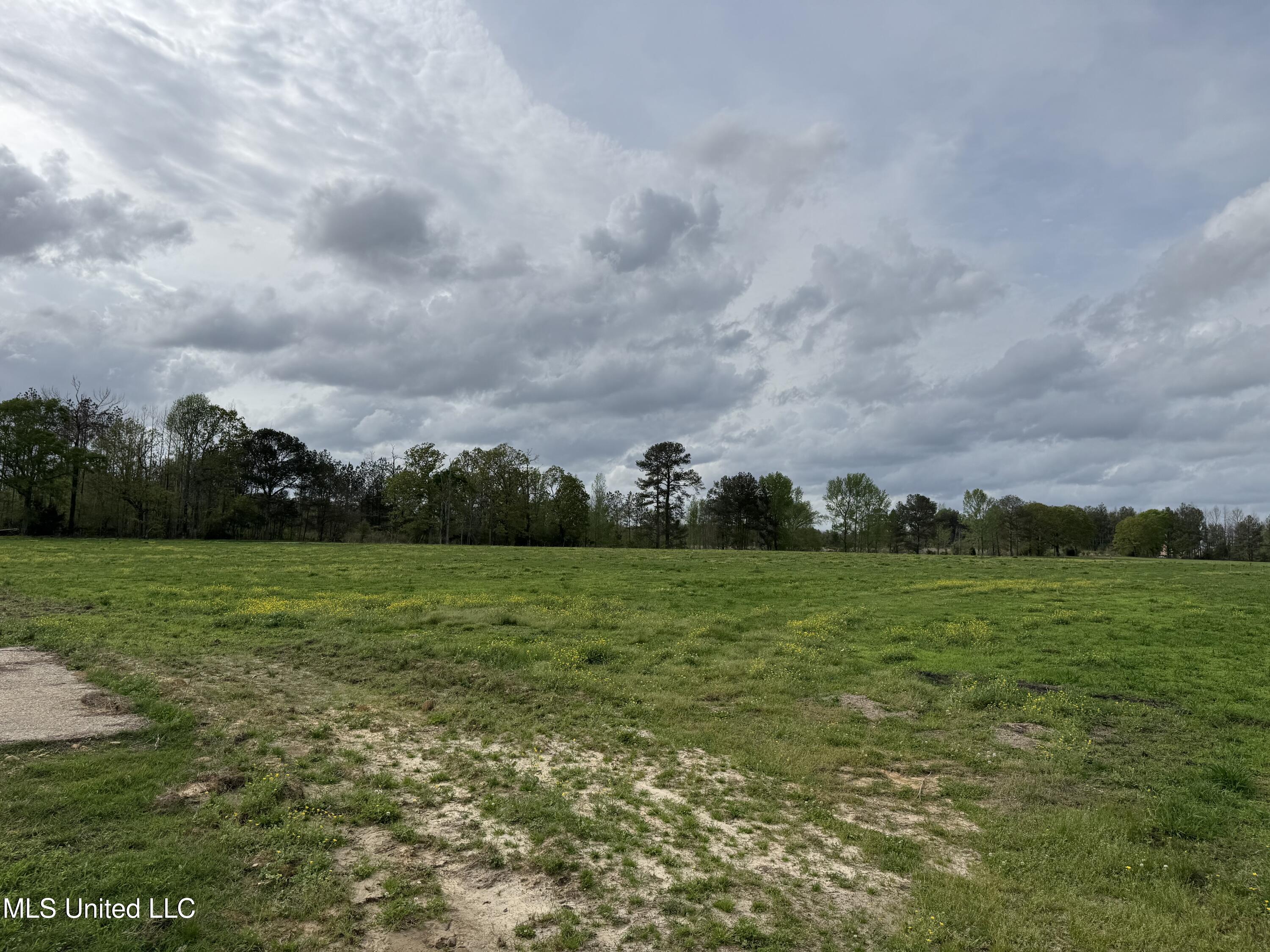 2451 SW Dalton Lane, Smithdale, Mississippi image 42