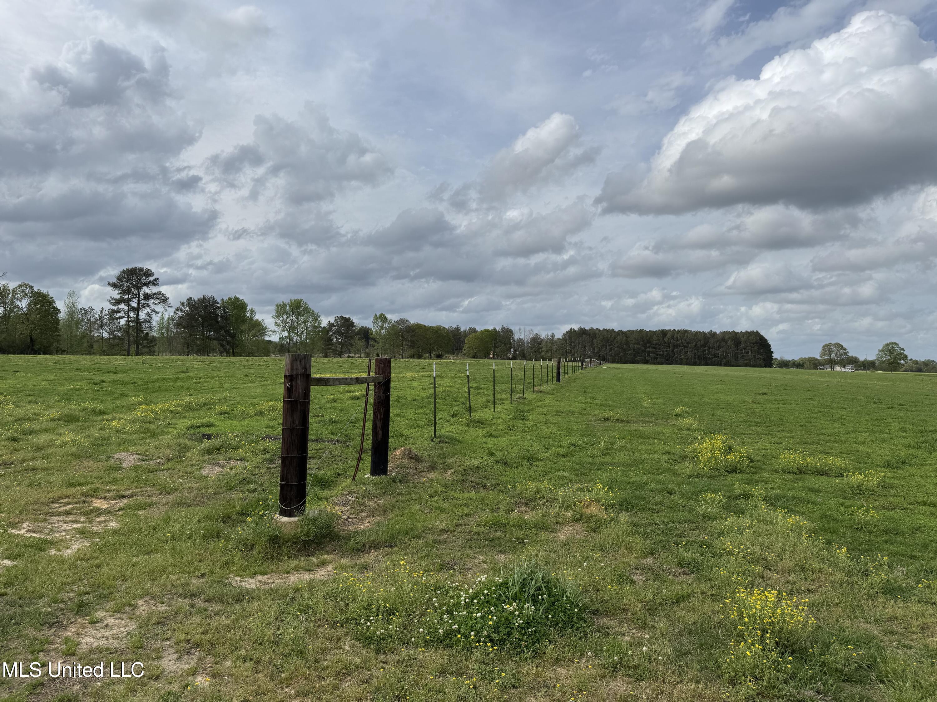 2451 SW Dalton Lane, Smithdale, Mississippi image 40