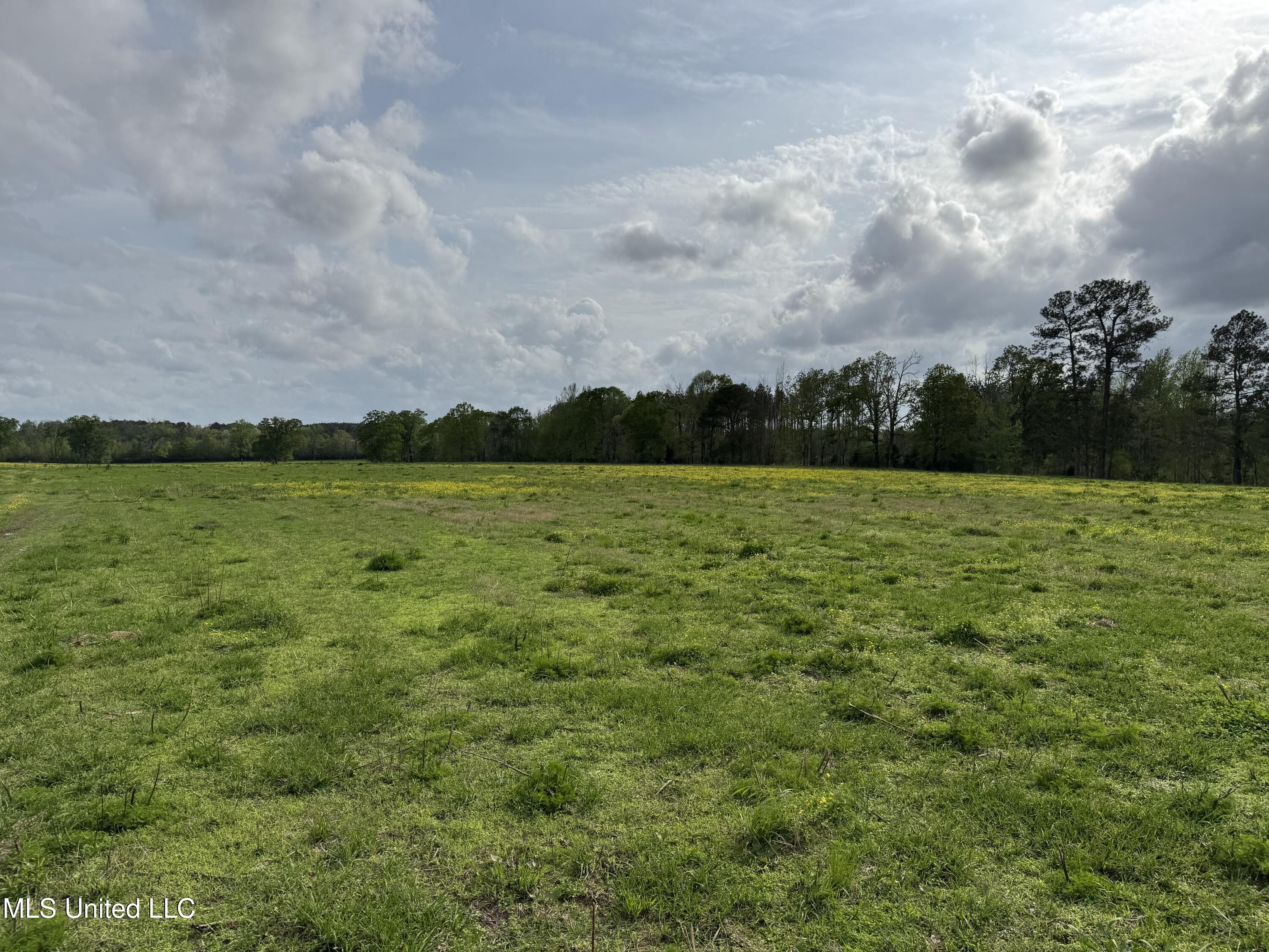 2451 SW Dalton Lane, Smithdale, Mississippi image 48