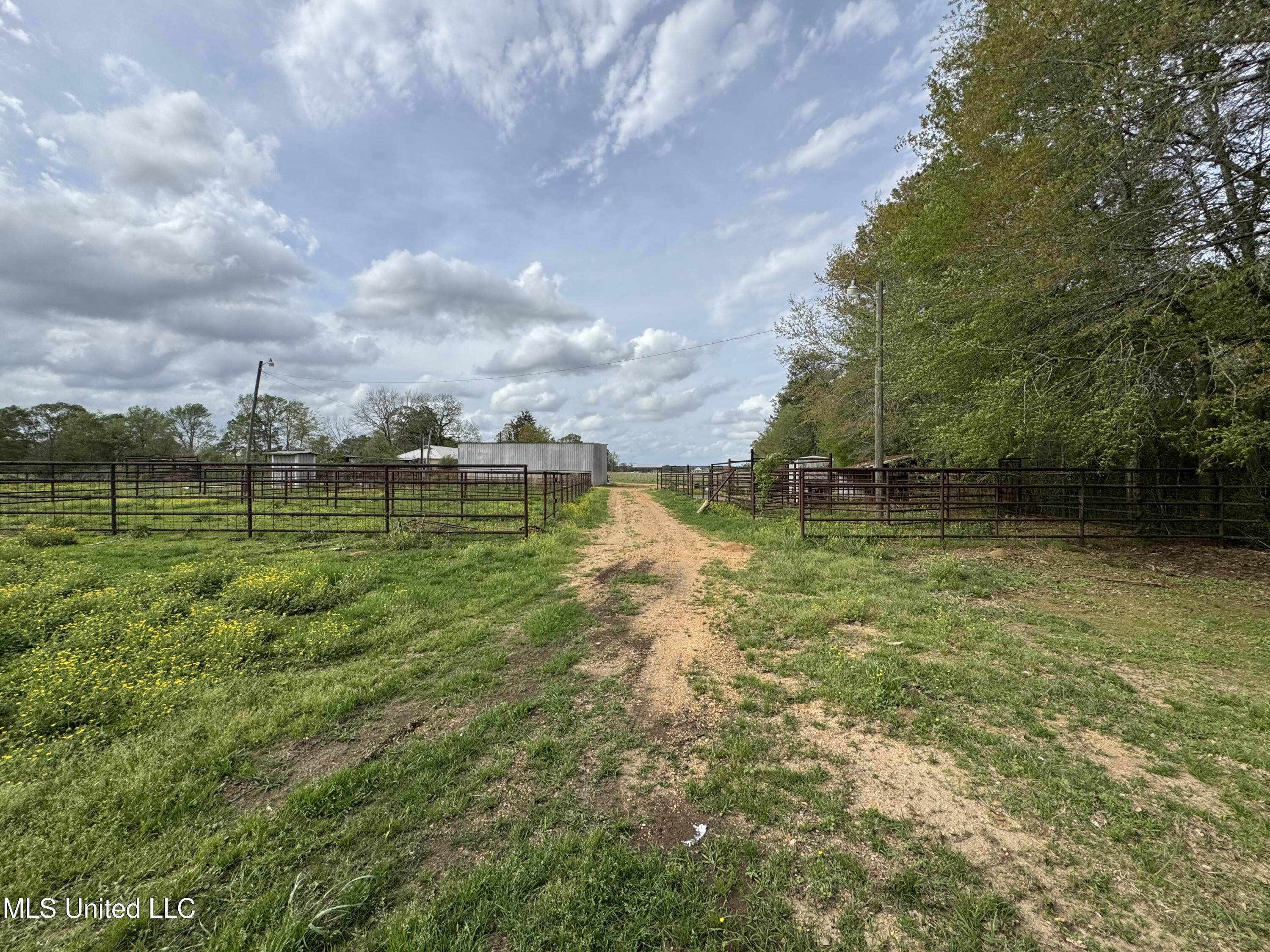 2451 SW Dalton Lane, Smithdale, Mississippi image 14