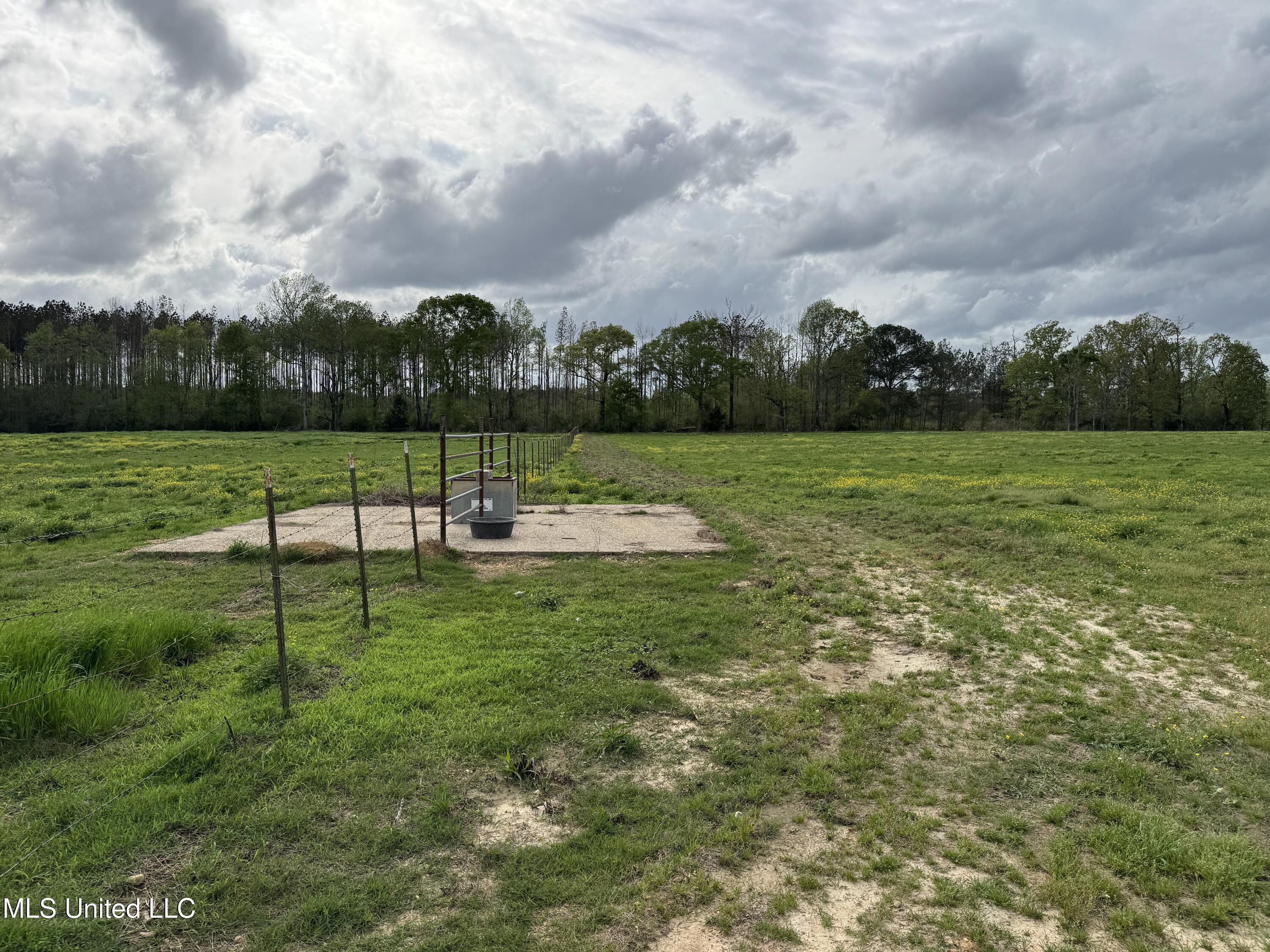 2451 SW Dalton Lane, Smithdale, Mississippi image 41