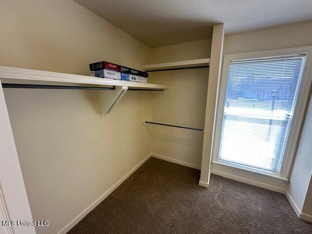 431 Westport Way, Flowood, Mississippi image 21