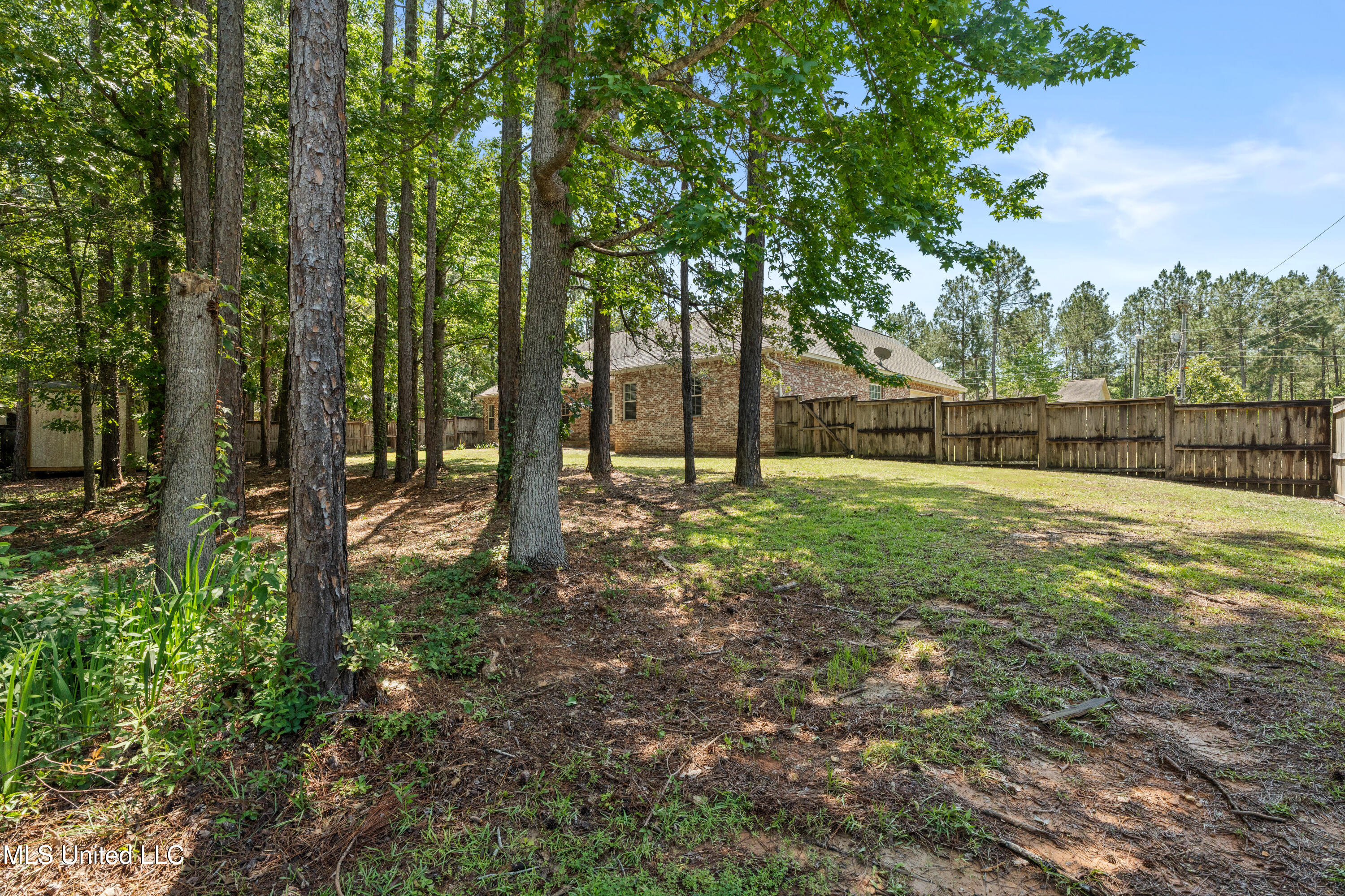 2 Driftwood Drive, Petal, Mississippi image 39
