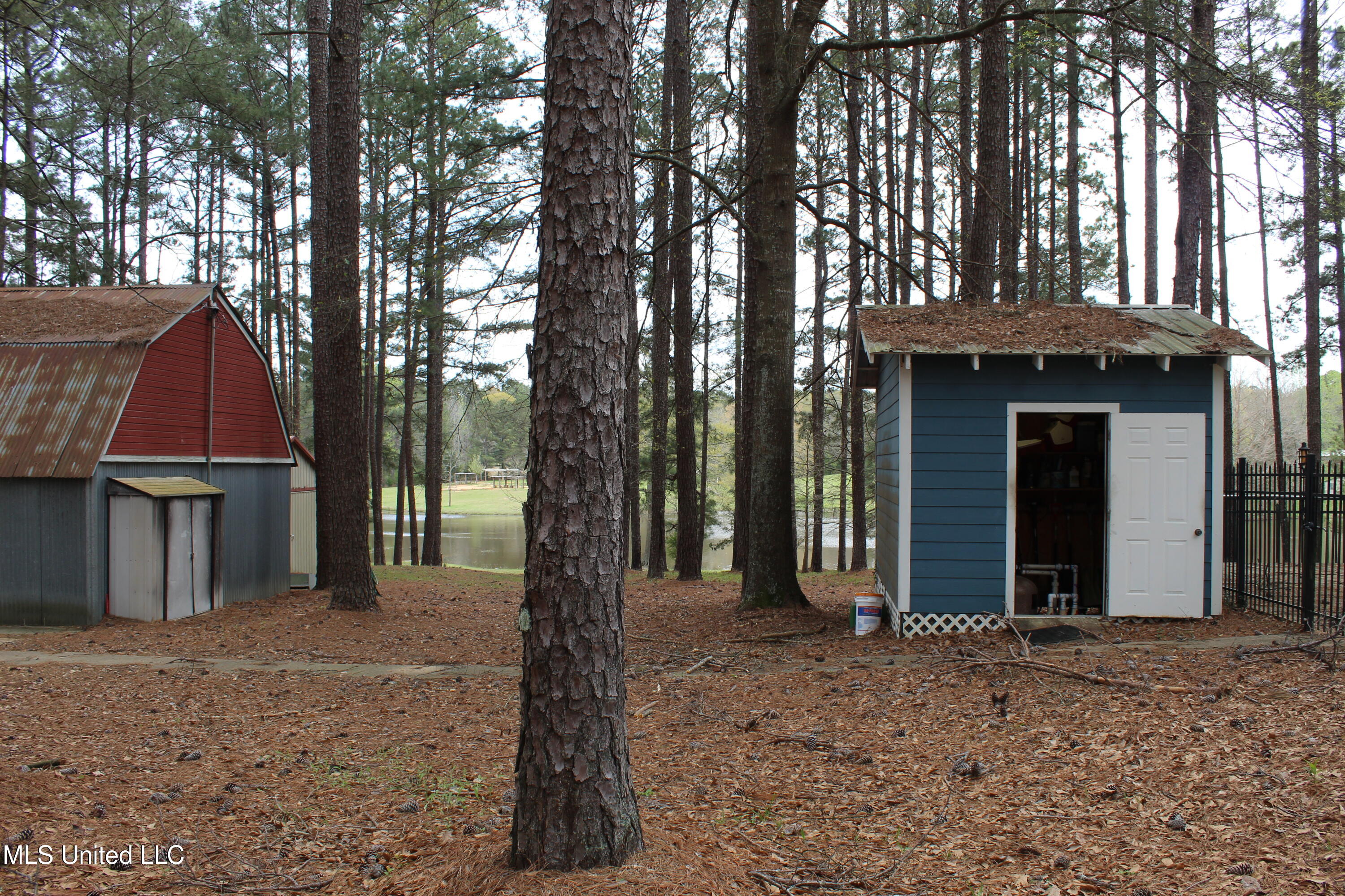 124 Campbell Cove, Brandon, Mississippi image 7