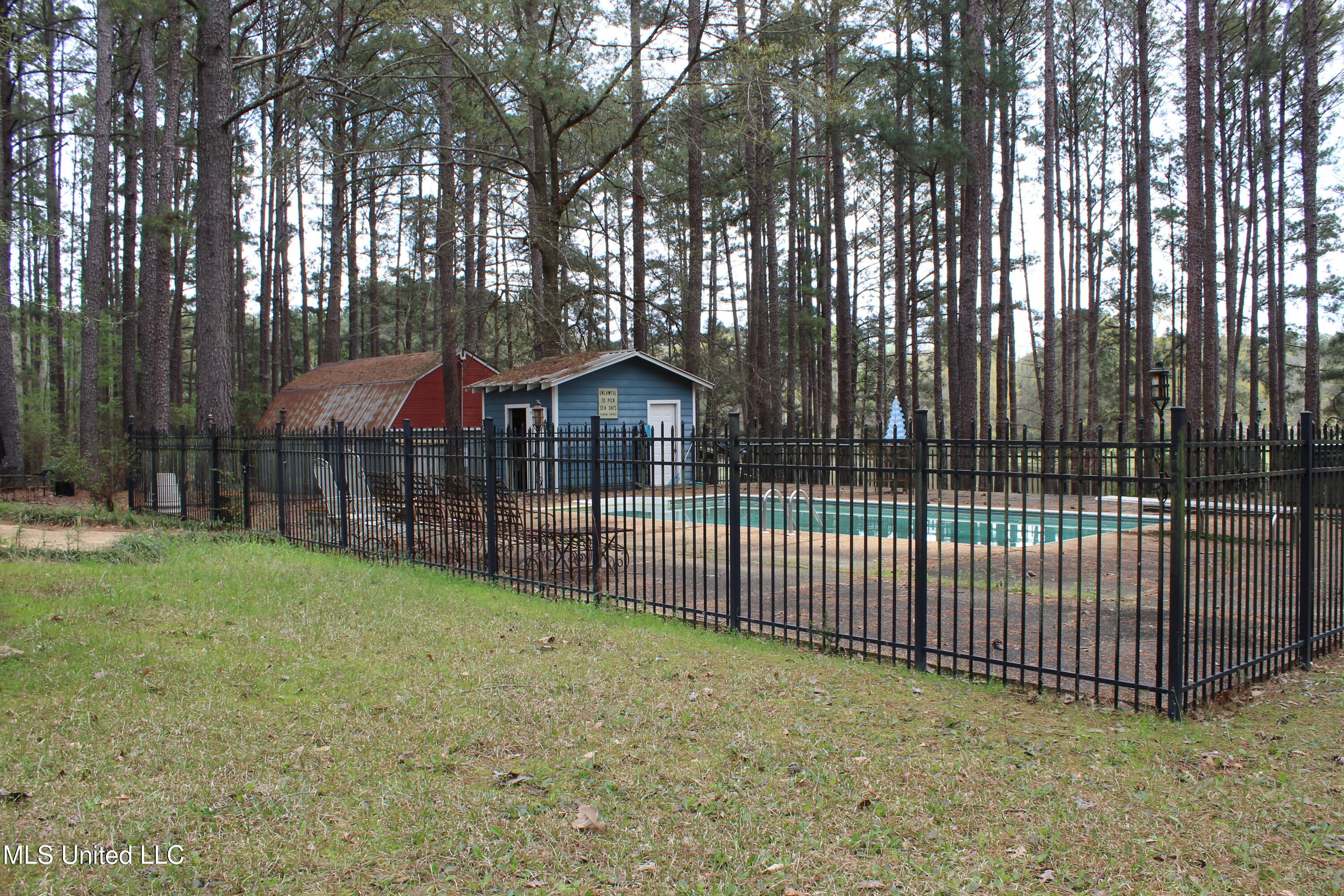 124 Campbell Cove, Brandon, Mississippi image 4